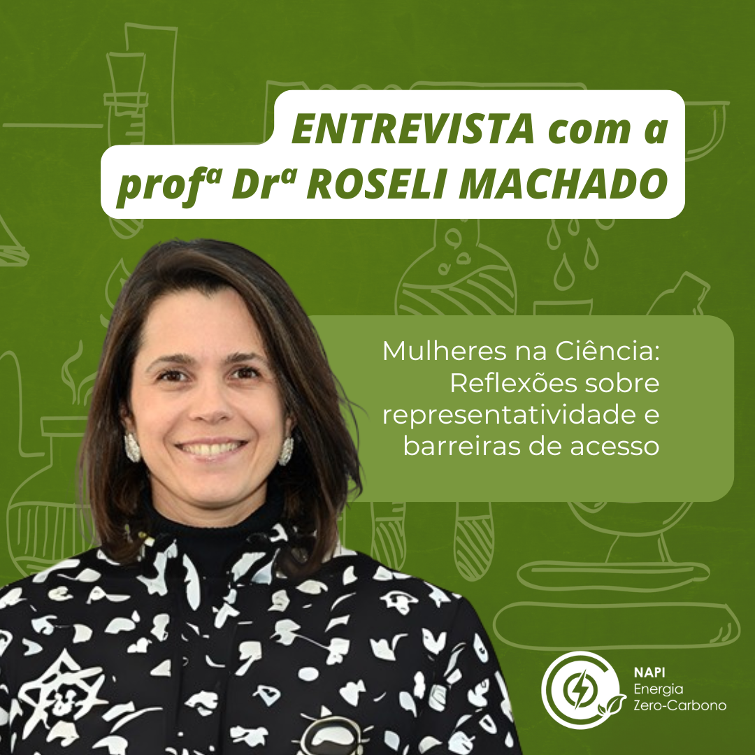 entrevista roseli machado